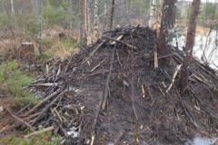 hutte