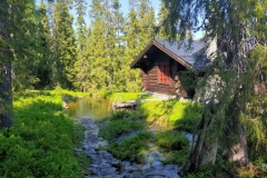IMG20210611141558
