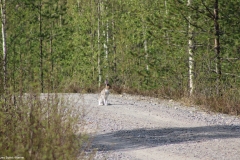 IMG_0050