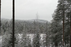 PR5